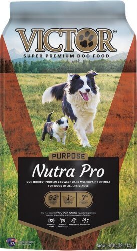 what is the best protein for puppies