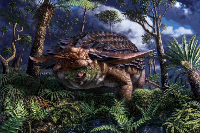 Armored Dinosaur’s Last Meal Found Preserved in Its Fossilized Belly