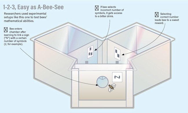 easy as a-bee