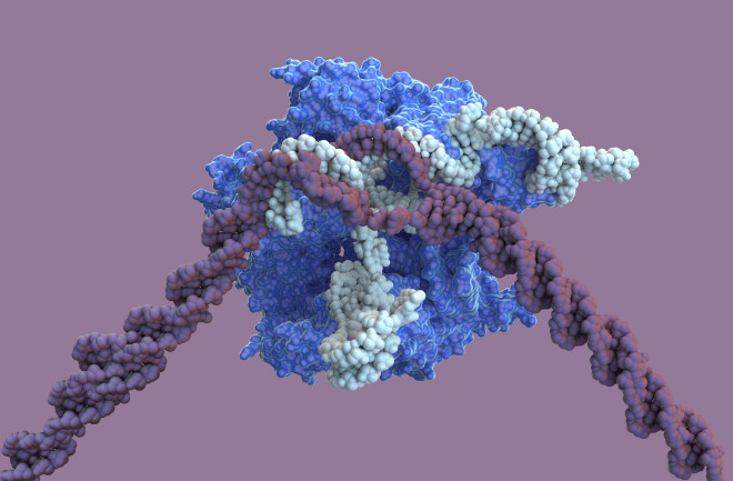 CRISPR - Ella Maru Studio, Science Source