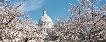 p73851-Washington-Capitol_Building.jpg