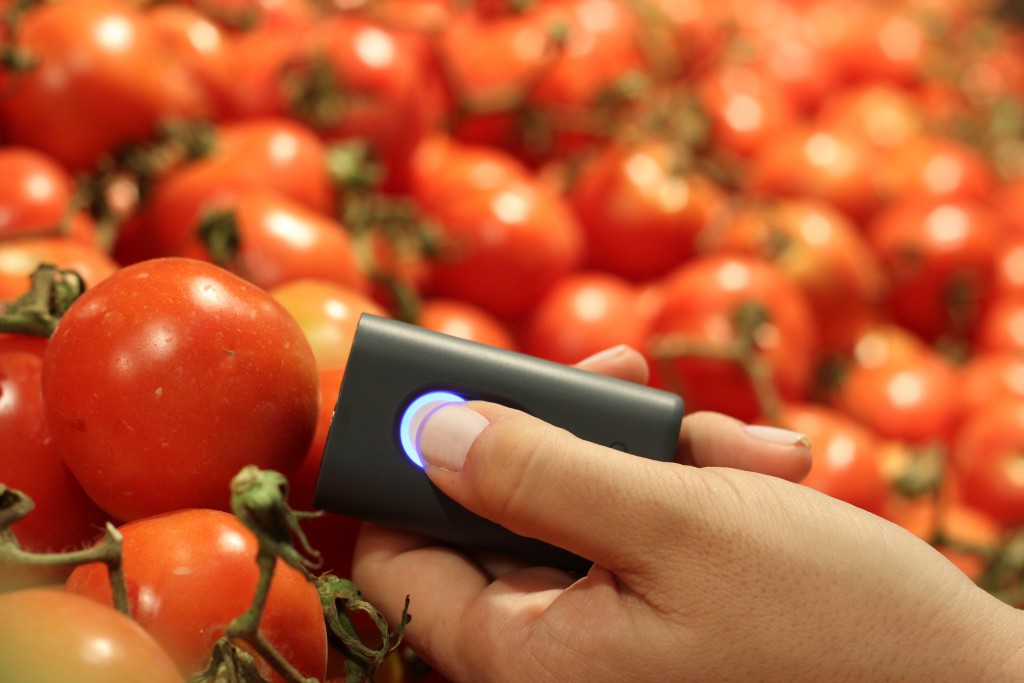 tomatoes.JPG-1024x683.jpeg