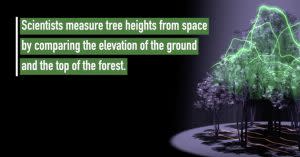 GLobeObserverTrees-300x157