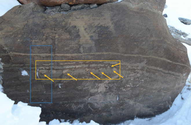 Trace fossils indicating an earlier start to life on Earth or just deformed rock? Seven anomalies (yellow arrows) found in 3.7 billion-year-old rock as trace fossils of early life, but a new study that focused on one portion (blue box) questions the previous findings. (Credit Allword et al 2018)