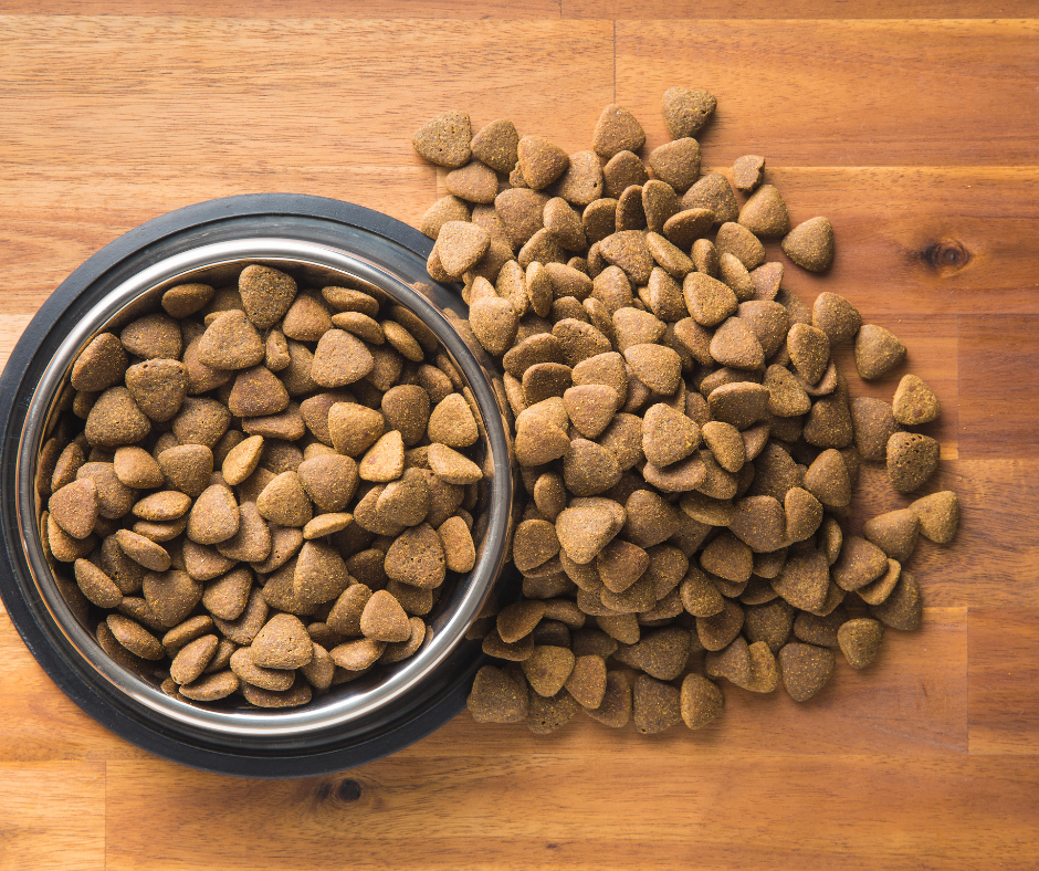 20 Best Quality Dog Foods in 2022