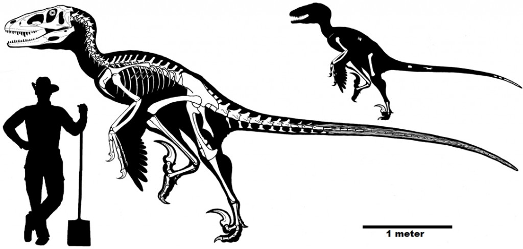Size-reconstruction-1024x487.jpg