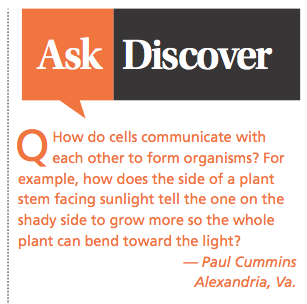 Ask Discover Cell Communication