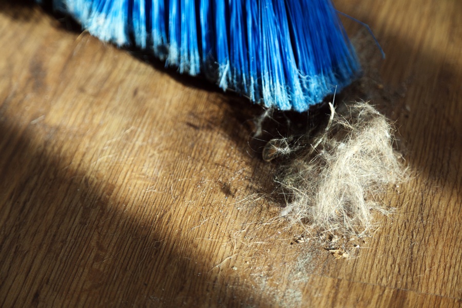 20 Things You Didn't Know About... Dust Discover Magazine