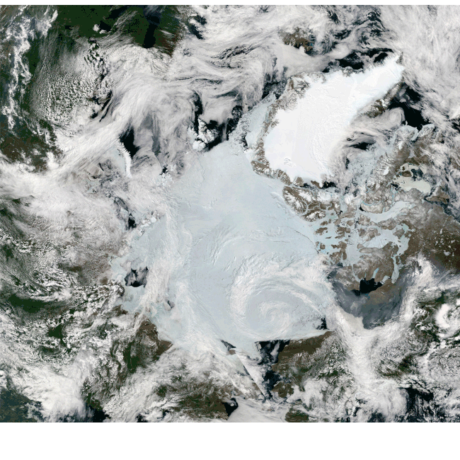 Arctic-Oil-gif1.gif