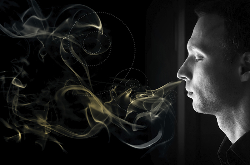 The Sense of Smell in Humans is More Powerful Than We Think | Discover  Magazine