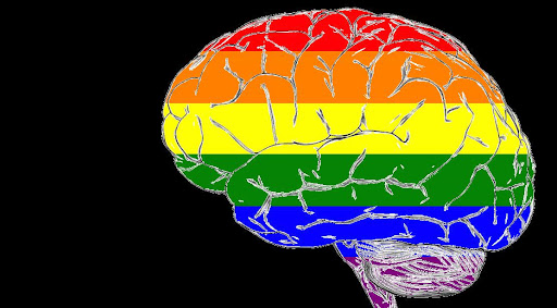 gaybrain1