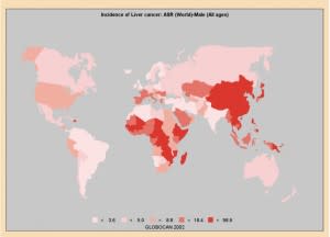 liver-worldwide-men-300x216.jpg