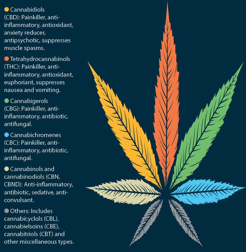 Cannabis Compounds