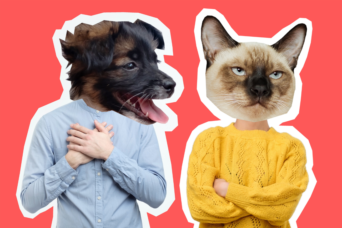 The Truth About Cat People And Dog People | Discover Magazine