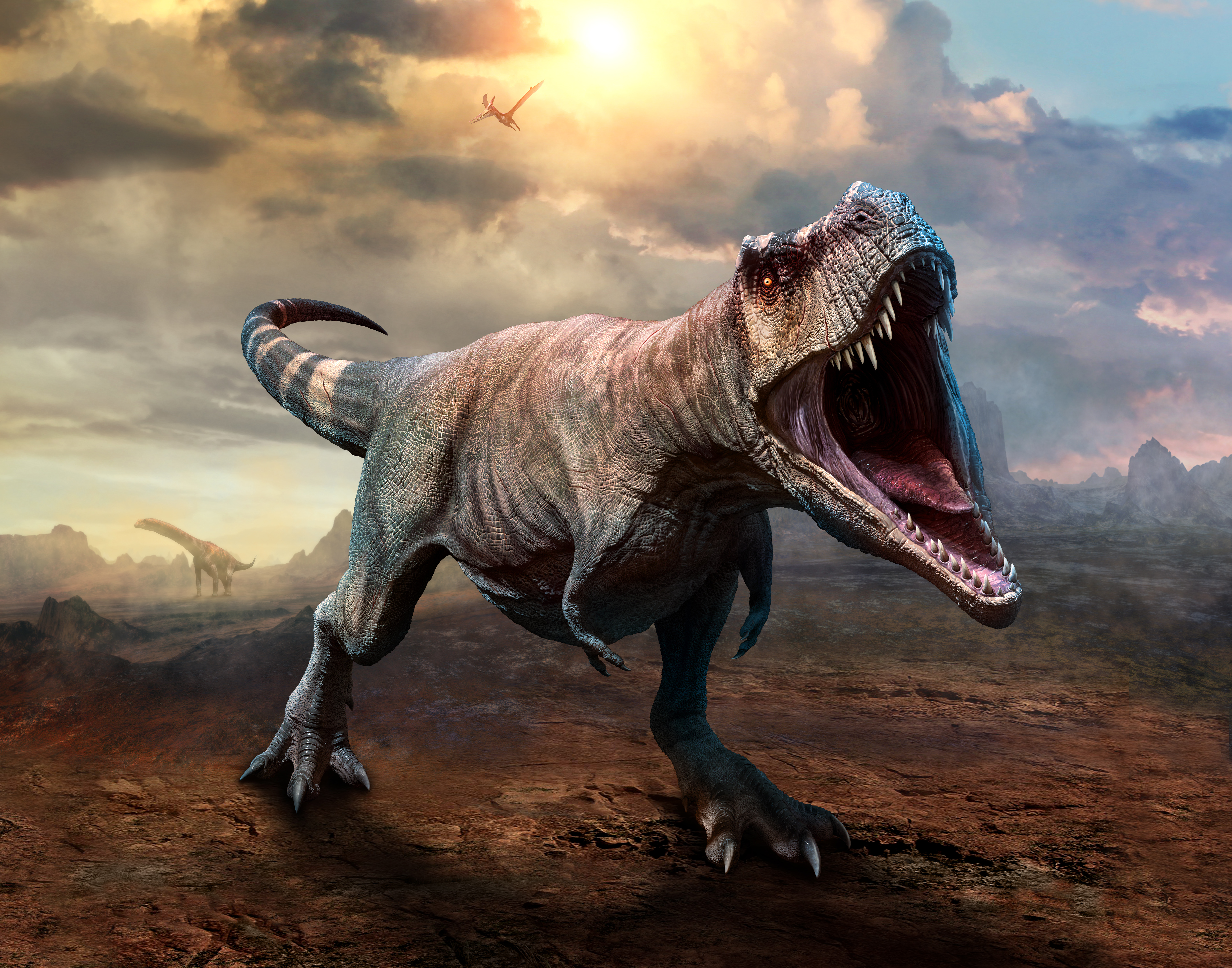 regenval kalf Beringstraat How T. rex Came to Rule the World | Discover Magazine