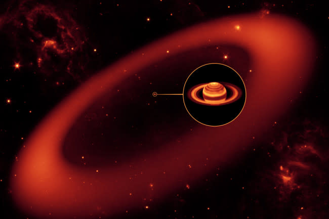 phoebe-ring
