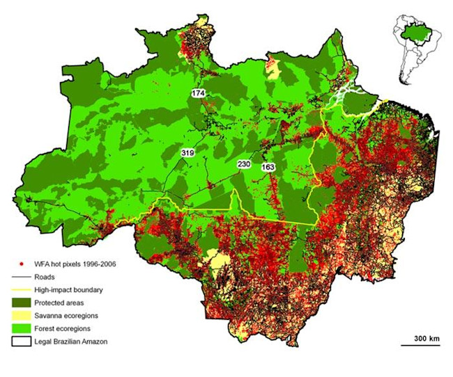 news2009344-2-lg.jpg
