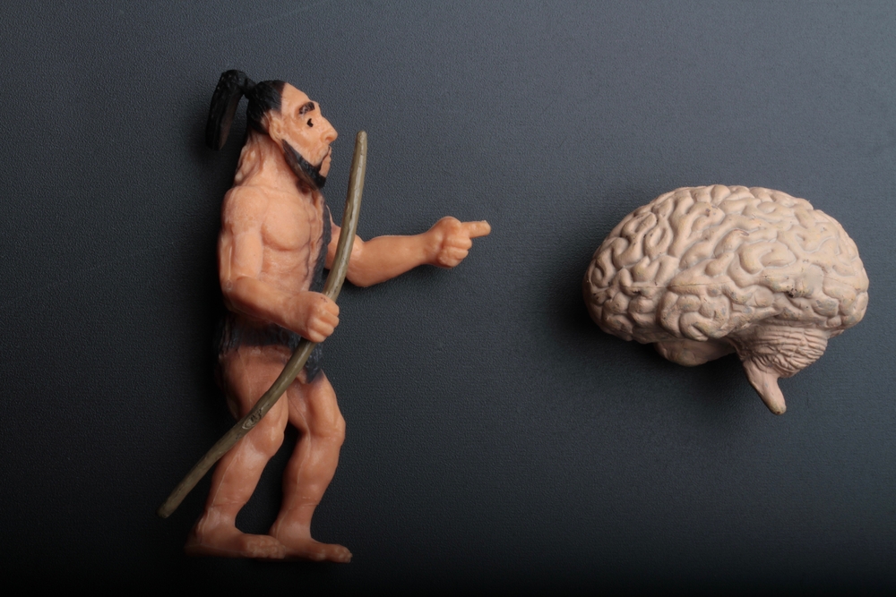 Brutes and Brains: What We Know About Neanderthal Brain Size