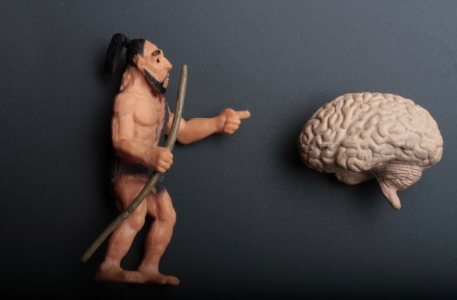 Neanderthal Brain