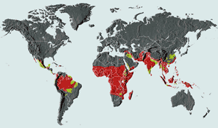 may01_mosquito2.gif
