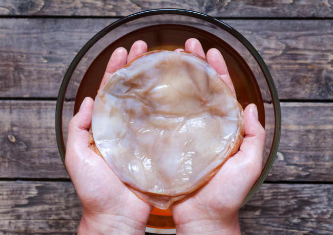 SCOBY kombucha - shutterstock