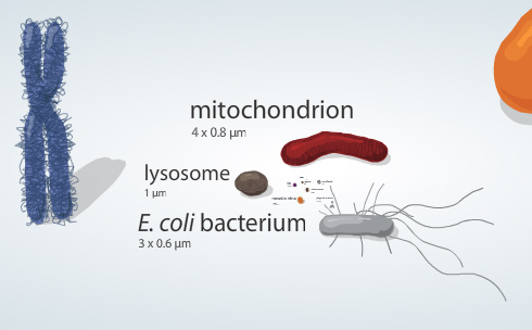 carbonslider.jpg