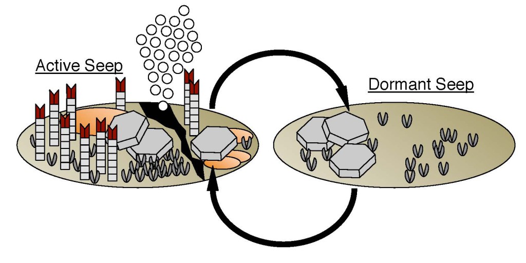 How Methane-Eating Microbes Respond To Rapid Environmental Change ...