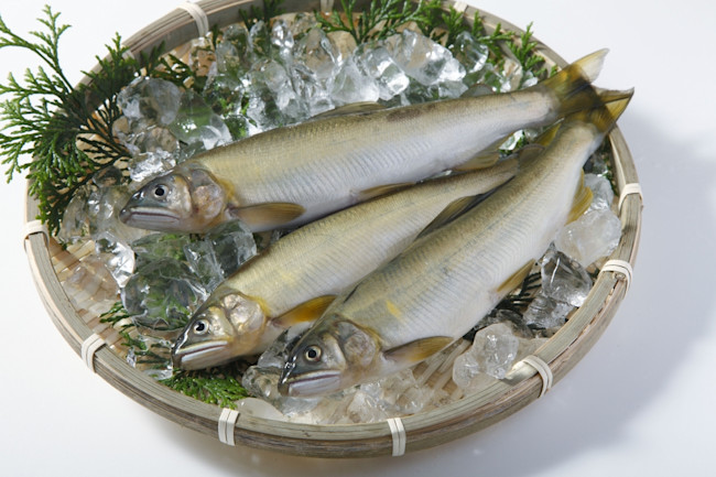 The Chemistry Of Fish Discover Magazine