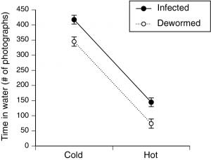 cane-toad-worm-water-figure-300x228.jpg
