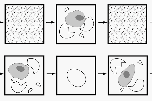 egginabox-sm.gif