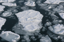 meltingice220.jpg