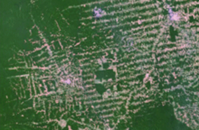deforestation-sat-web.gif