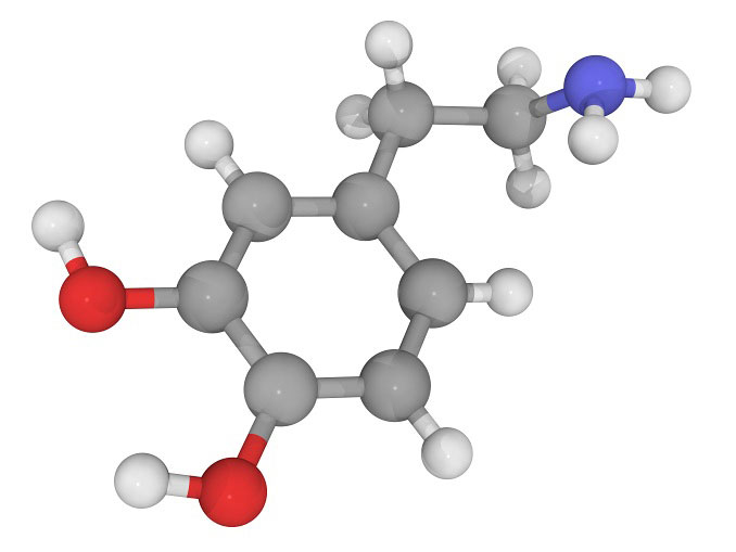 Disrupting Dopamine Dogma | Discover Magazine