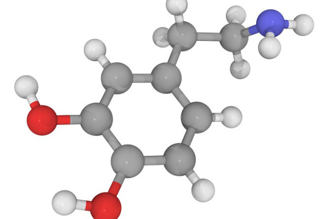 dopamine.jpg