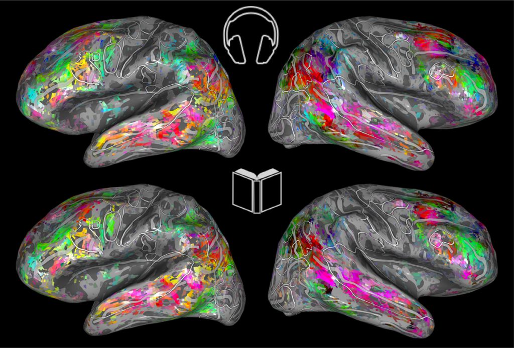 Audiobooks or Reading? To Our Brains, It Doesn’t Matter