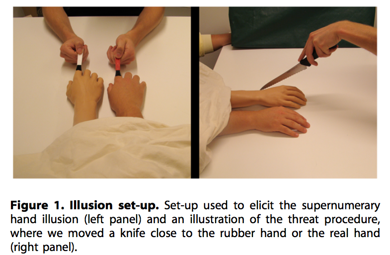 figure_illusion_hand1.png