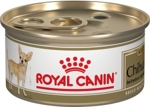 what is the best dry dog food for chihuahuas