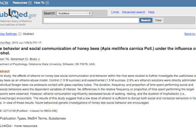 honey_bee_alcohol.jpg