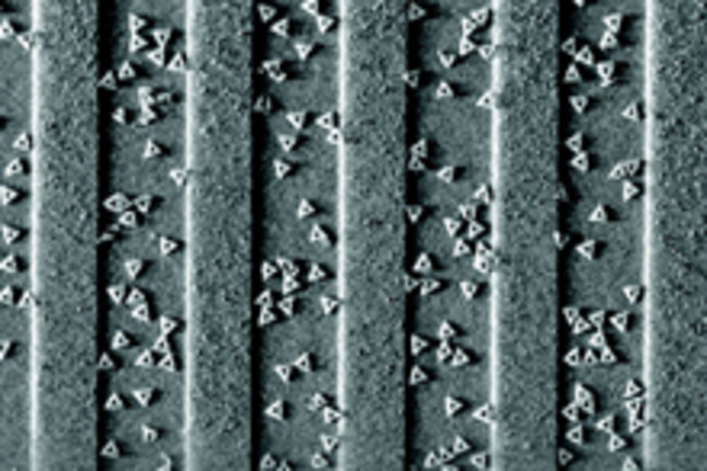 Dna Origami May Allow Chip Makers To Keep Up With Moore S Law Discover Magazine