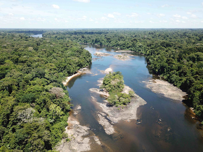 Amazon-River-Electric-Eels
