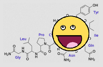oxytocin2.png