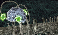 Nanorobots.jpg
