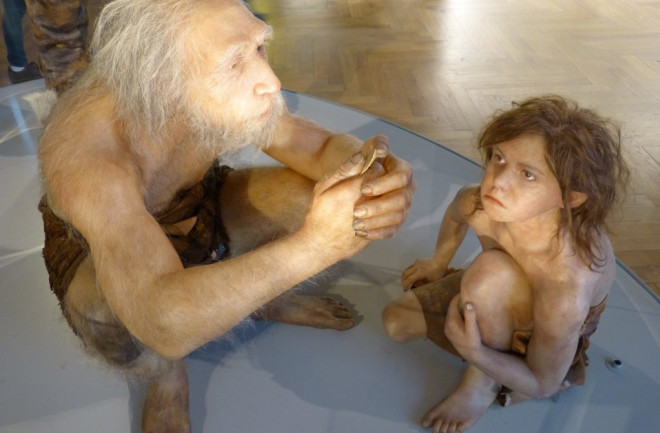 Neanderthals at Museum - Wikimedia