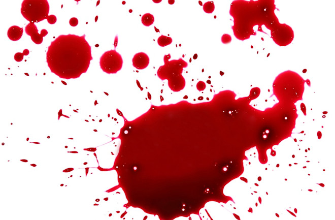20 Things You Didn't Know About... Blood | Discover Magazine