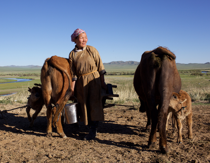 woman-with-cows.jpg