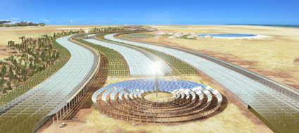 sahara-greenhouses.jpg