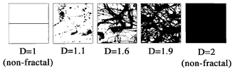 fractals1