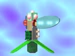rd_fly3.jpg