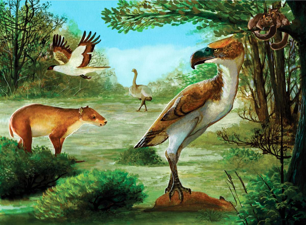 Antarctica’s Terror Bird Was an Apex Predator of the Eocene Epoch
