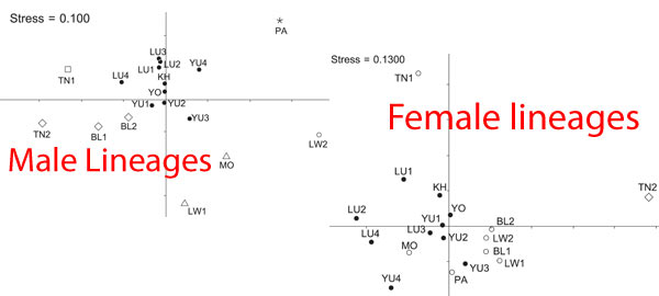 sefig2.jpg